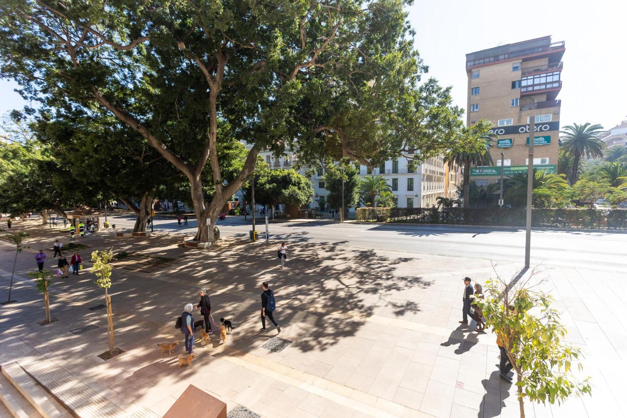 La Casa De La Alameda Leilighet Málaga Eksteriør bilde